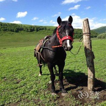 丰宁坝上孤石军马场山谷营地生态农庄酒店提供图片