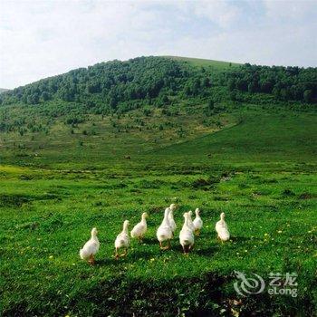 丰宁坝上孤石军马场山谷营地生态农庄酒店提供图片