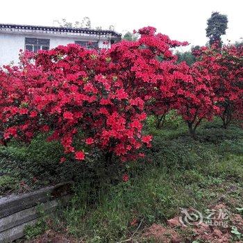 蜀南竹海兴旺山庄酒店提供图片