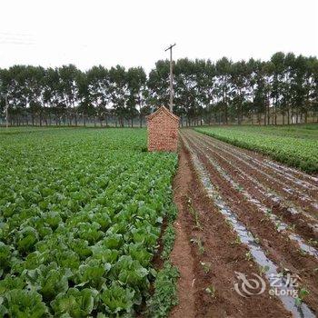 张北野狐岭一号农家院酒店提供图片