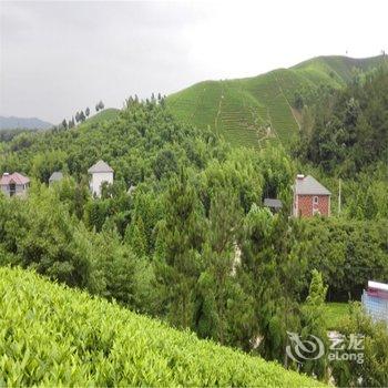 安吉乡野间乡村茶园山景房酒店提供图片