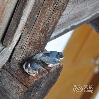 南靖云水谣水云居客栈酒店提供图片