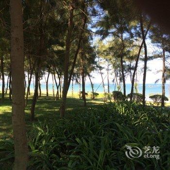 东山天海阁海景公寓酒店提供图片