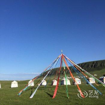 青海湖岗雍帐篷宾馆用户上传图片