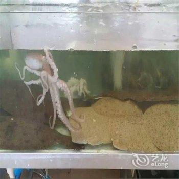 昌黎黄金海岸金和宾馆酒店提供图片