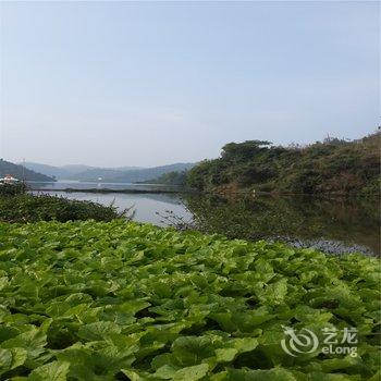 弥勒红河谷温泉山庄酒店提供图片