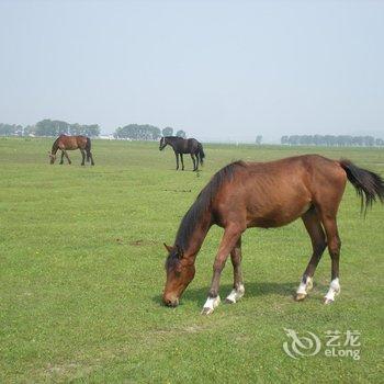 丰宁小屈农家院酒店提供图片