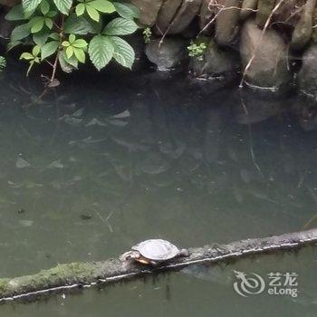 宏村兰馨楼客栈(原田园居)酒店提供图片