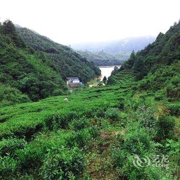 郴州宜章莽山林泽湖茶庄酒店提供图片