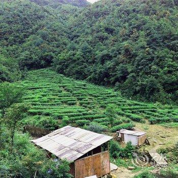 郴州宜章莽山林泽湖茶庄酒店提供图片