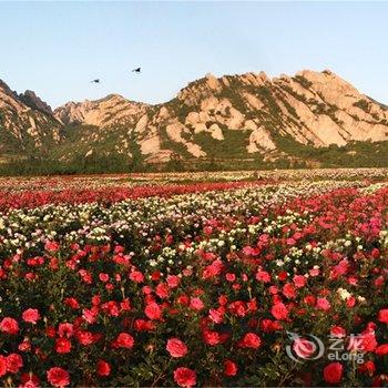 遂平嵖岈山温泉度假酒店酒店提供图片