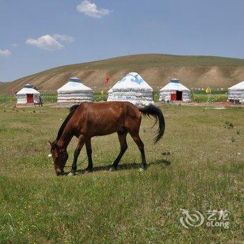 沽源天鹅湖秀水山庄酒店提供图片