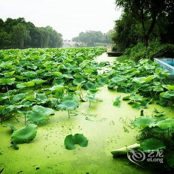 上海蓝派别墅派对轰趴馆(夏威夷馆)酒店提供图片