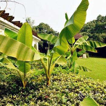 上海蓝派别墅派对轰趴馆(夏威夷馆)酒店提供图片