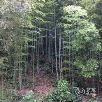 德清仙潭无名居酒店提供图片