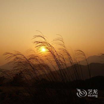 厦门顶上人家生态风景区酒店提供图片