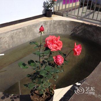 兴隆雾灵山(南门)邢府小院酒店提供图片