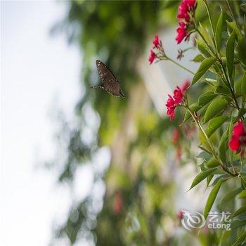 海南银湾美高梅花园酒店酒店提供图片