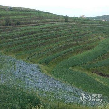 张北布达拉营地酒店提供图片