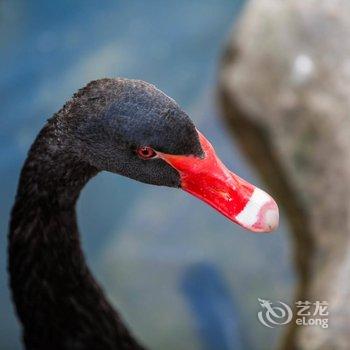 武夷山艾斯酒店酒店提供图片