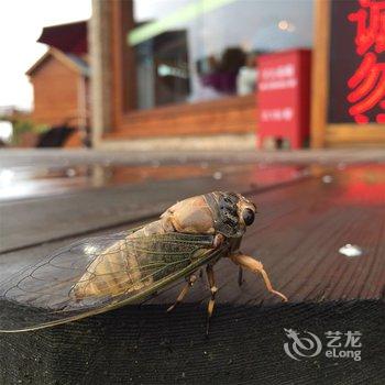 舟山怡贝湾非诚勿扰度假酒店酒店提供图片