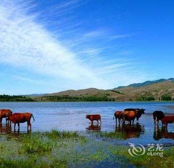 芦芽山世外桃源农家乐酒店提供图片