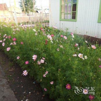 额尔古纳悦安家庭游酒店提供图片