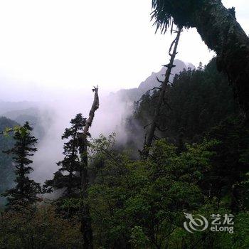 宕昌天然氧吧别墅酒店提供图片