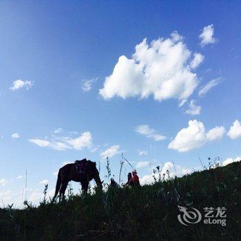 承德丰宁坝上草原小慧农家院酒店提供图片