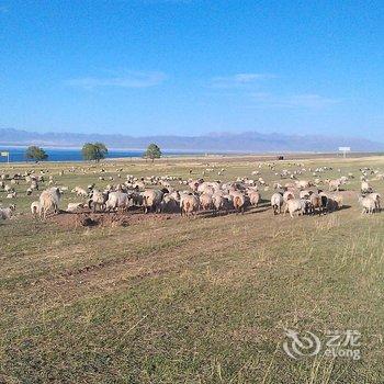 青海湖江西沟农场生态农庄酒店提供图片