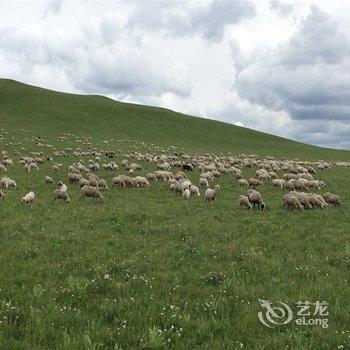 克什克腾旗乌兰布统红松湖度假村酒店提供图片