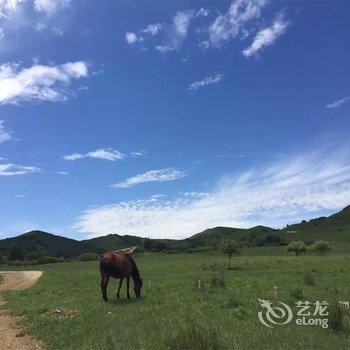 克什克腾旗乌兰布统红松湖度假村酒店提供图片