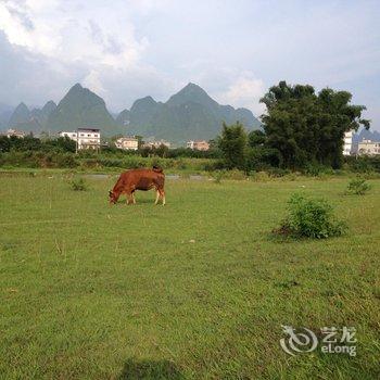 阳朔兴坪水云间田园酒店酒店提供图片