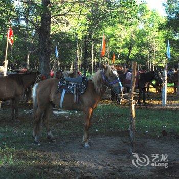 锡林浩特盟中信京畿酒店酒店提供图片