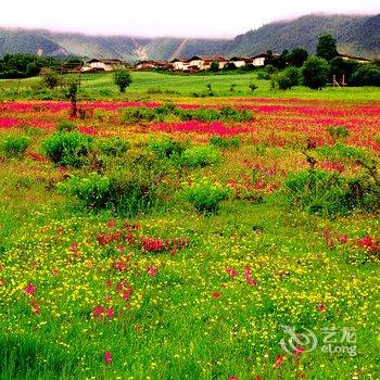 诗莉莉泛蜜月·桑珠藏文化精品酒店酒店提供图片