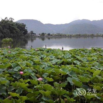 腾冲鑫蒙客栈酒店提供图片