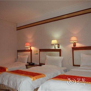 西藏山南裕砻假日大酒店酒店提供图片
