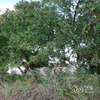 白银黄河石林龙湾宾馆酒店提供图片