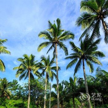 七仙岭鹤川温泉酒店酒店提供图片