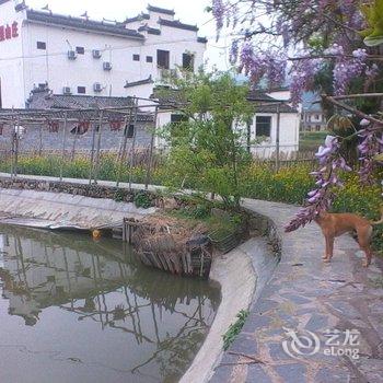 协里山庄(黄山宏村)酒店提供图片