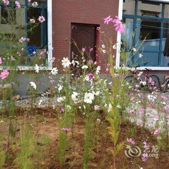 拉萨1987客栈酒店提供图片