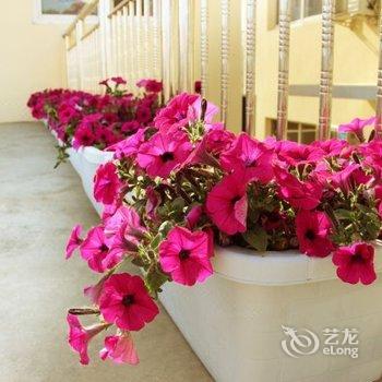 北戴河田青旅馆酒店提供图片