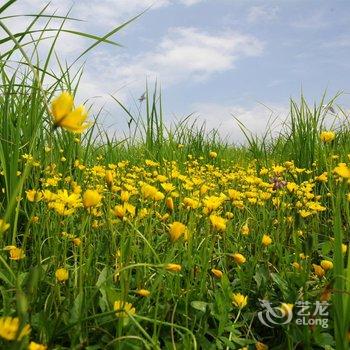 武汉荆楚沉湖度假村酒店提供图片