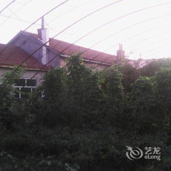 安图长白山心园山庄酒店提供图片
