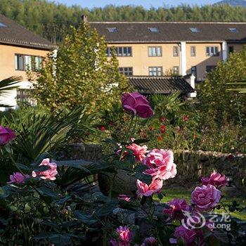 莫干山里法国山居酒店提供图片