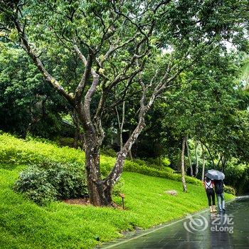 七仙岭鹤川温泉酒店酒店提供图片