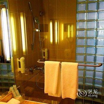 北京亦庄智选假日酒店酒店提供图片
