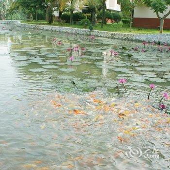 兴隆太阳岛度假酒店酒店提供图片