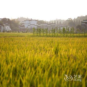 婺源归去来兮乡居酒店提供图片