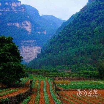 宜昌车溪翠谷山居酒店提供图片